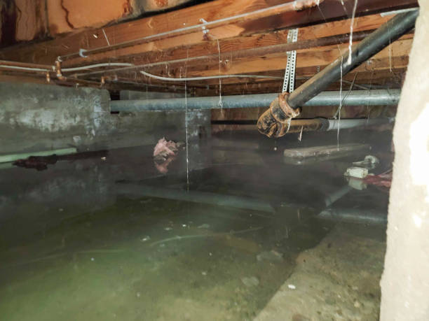 Professional Water damage restoration in Eureka, IL